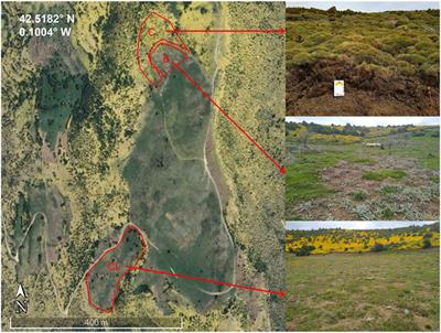 Shrub Control by Burning and Clearing in the Southern Pyrenees: Effects on Soils After Two Years of Treatment